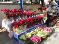 Fira de Nadal