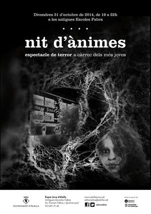 Nit d'ànimes