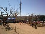Inauguraci&oacute; Parc del Tricentenari