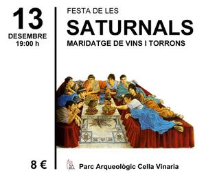 Festa de les Saturnals