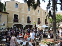Festa Major