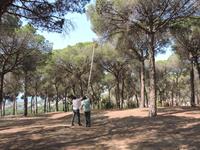 El Bosquet
