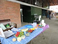 Taller aprofitament aliments