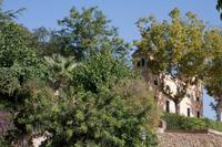 Visita guiada familiar "Alella, 1.000 anys d'hist&ograve;ria"