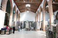 Visites guiades familiars juny