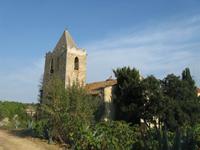 Passejada pel Parc de la Serralada Litoral