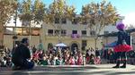 Dia de la Dona