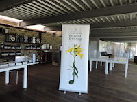 Presentaci&oacute; Festival d'Estiu