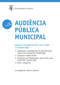 Audiència Pública 13 d'abril