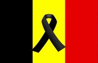 Bandera brussel&middot;les