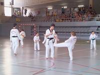Judo