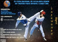Campionat de taekwondo