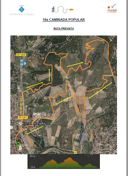 Ruta caminda