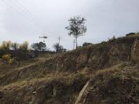 Incendi Can Comulada