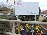 Vila Florida