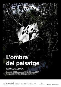 Cartell de "L'ombra del paisatge"