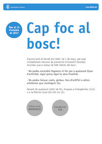 Cap foc al bosc