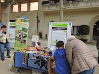 Projectes de cooperaci&oacute;