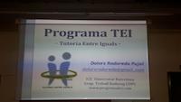 Sessi&oacute; formativa TEI infantil i prim&agrave;ria
