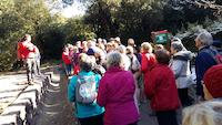 2a caminada "A cent cap als 100"