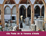 Visita guiada Alella Vinícola