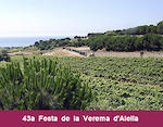 Visita guiada Alta Alella