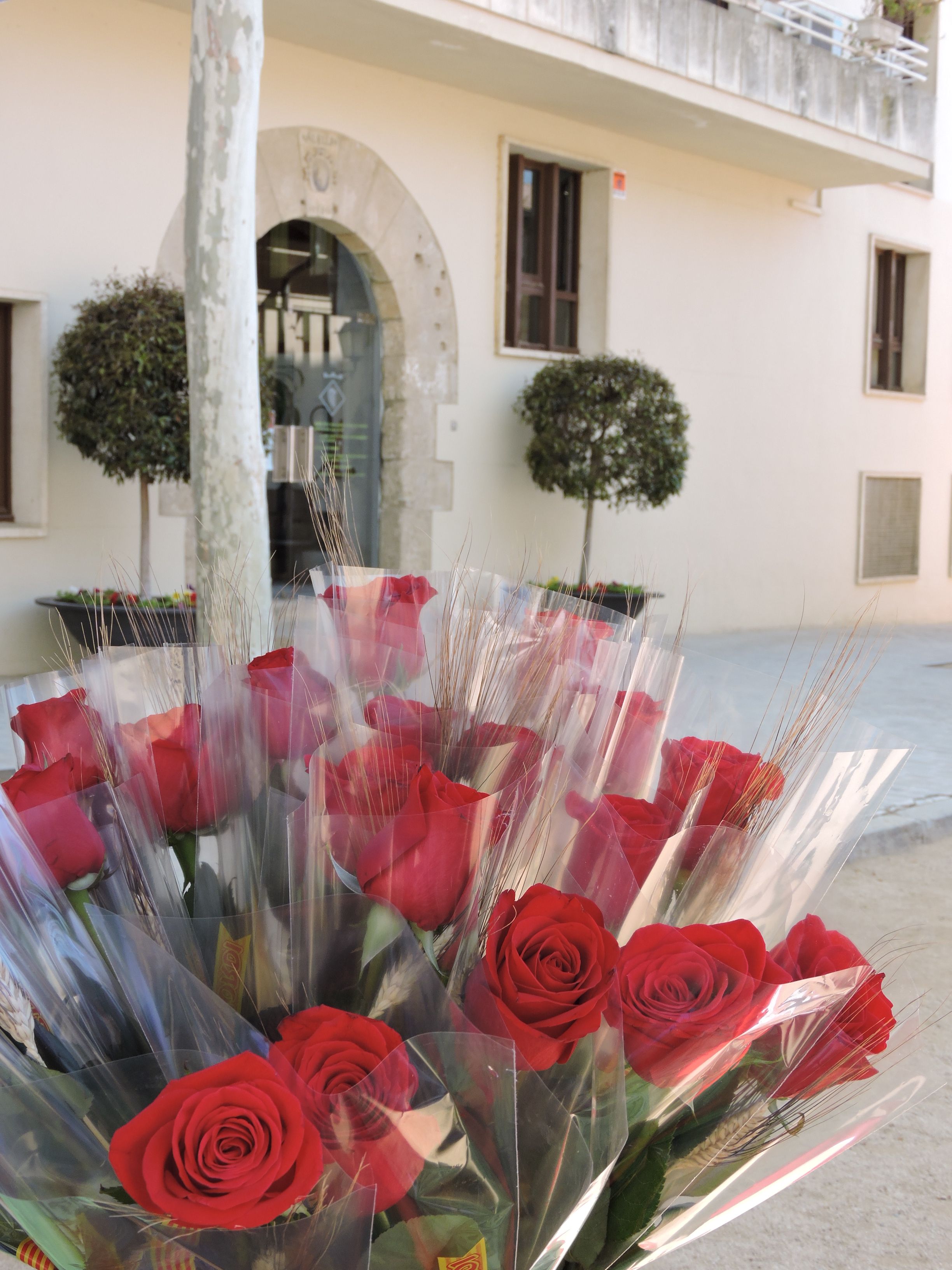 Roses de Sant Jordi