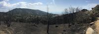 Incendi tei&agrave;
