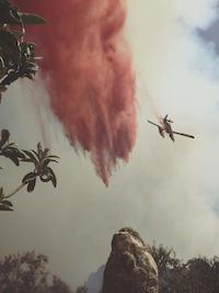 Incendi forestal