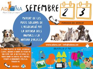 Mercat de puces solidari 2 i 3 de setembre