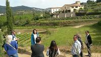 Visita ag&egrave;ncies de viatges