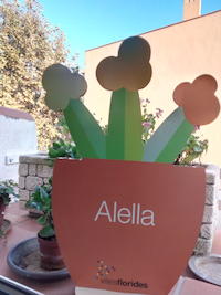 Viles florides