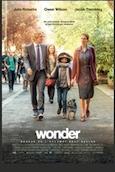 Wonder