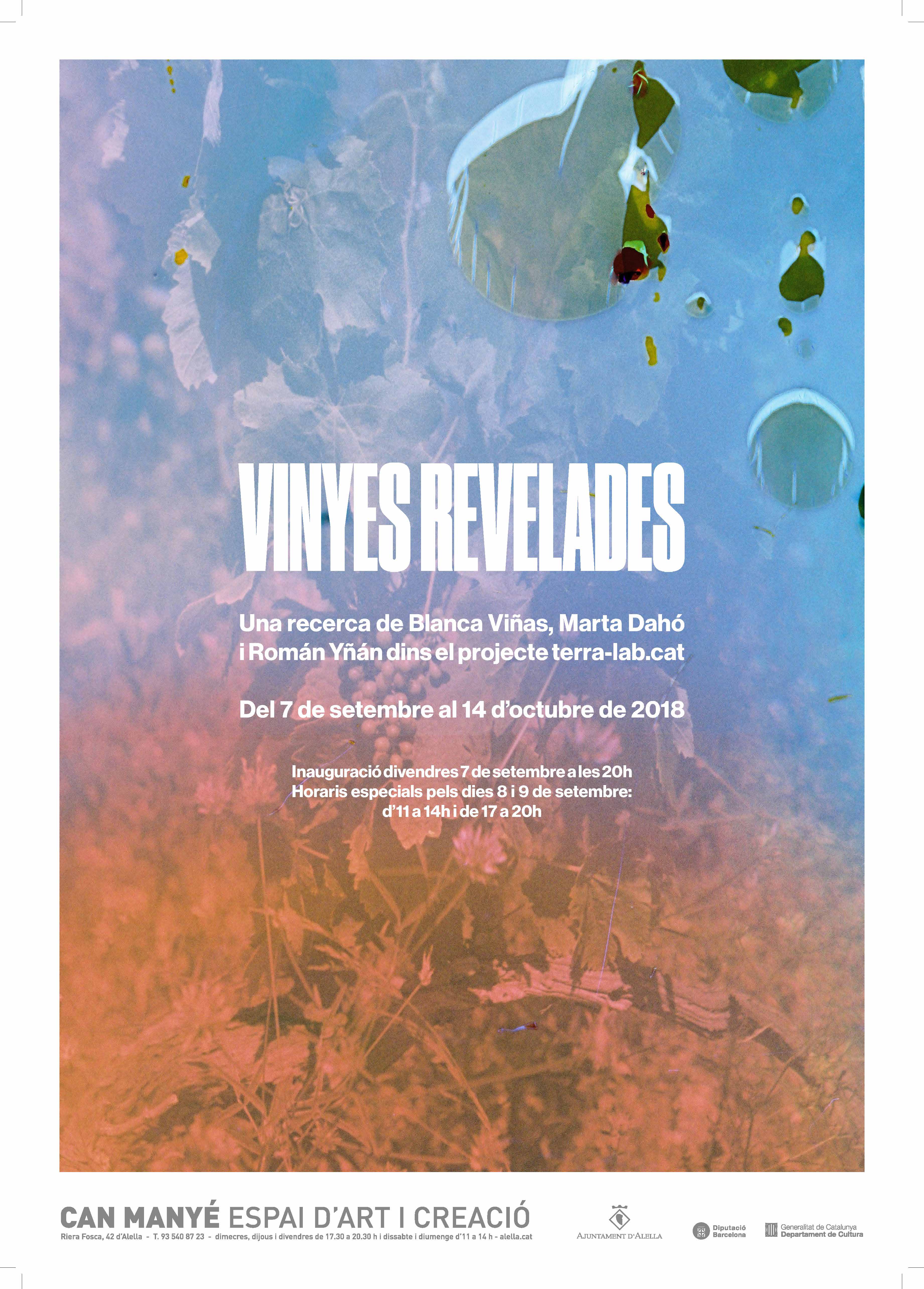 Vinyes revelades