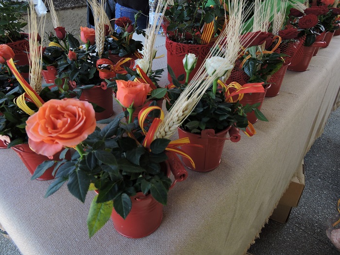 Parada de Sant Jordi