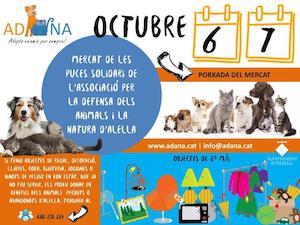 Mercat de puces solidari