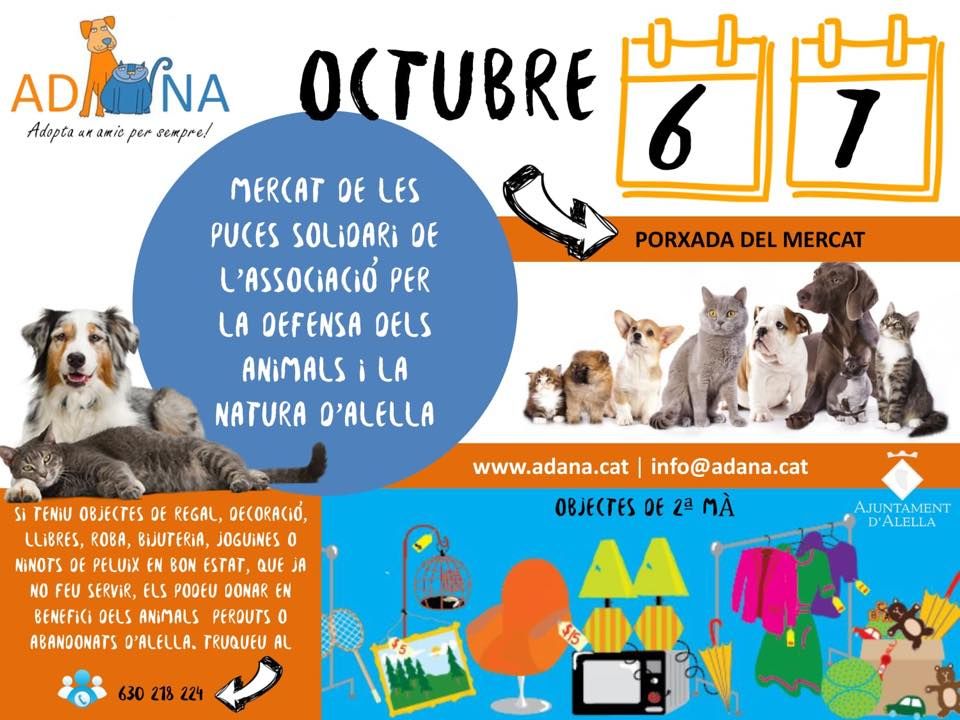 Mercat de puces solidari