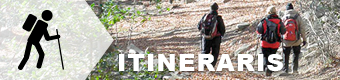 Itineraris