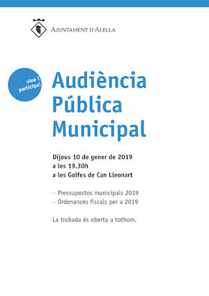 Cartell audiència pública