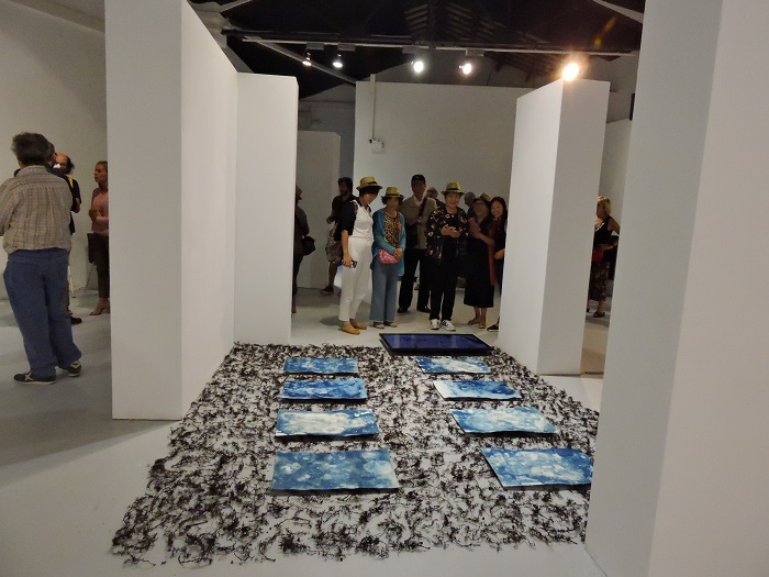 Visita guiada a l'exposici "Som ram trepitjat"