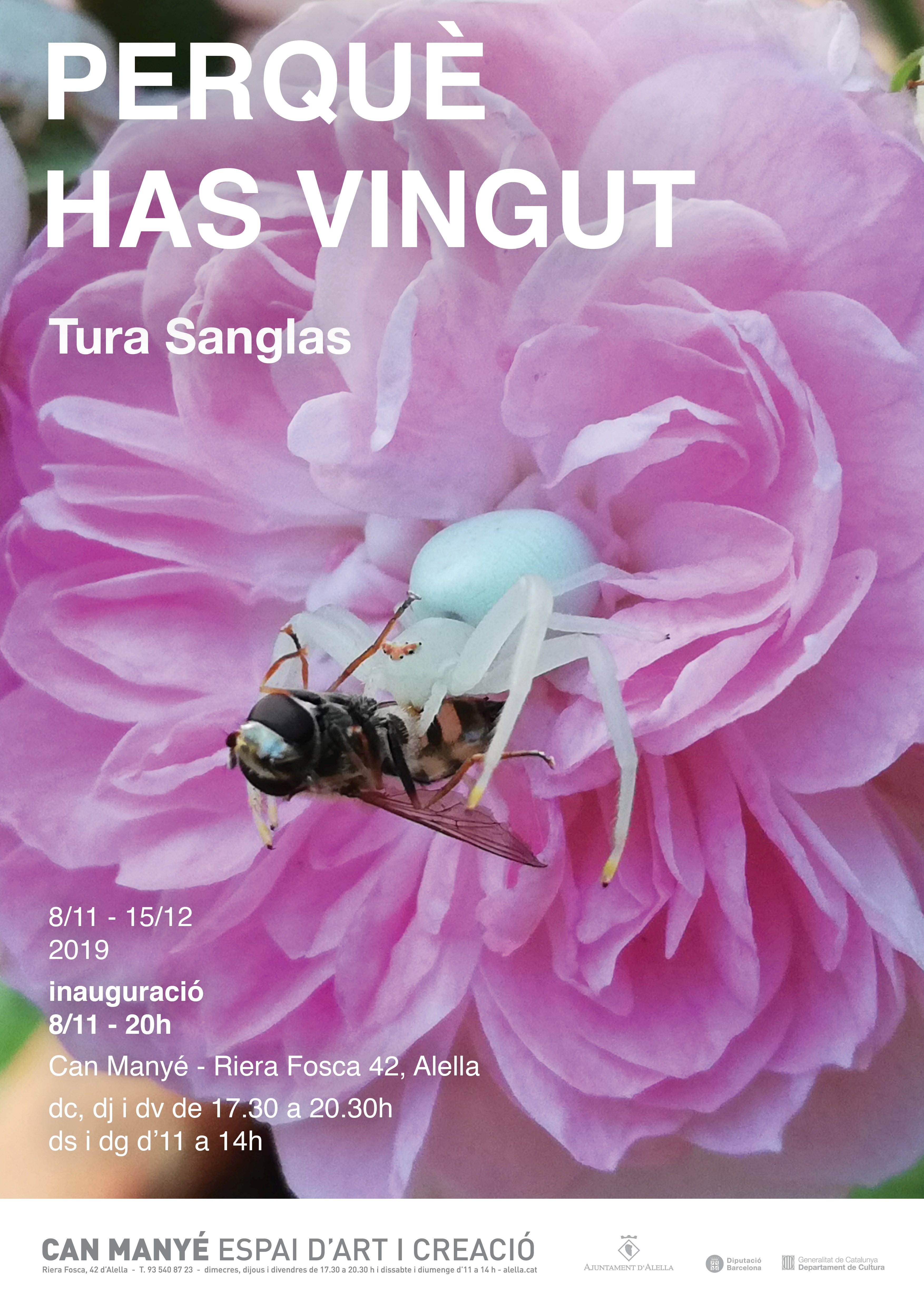 tura sanglas