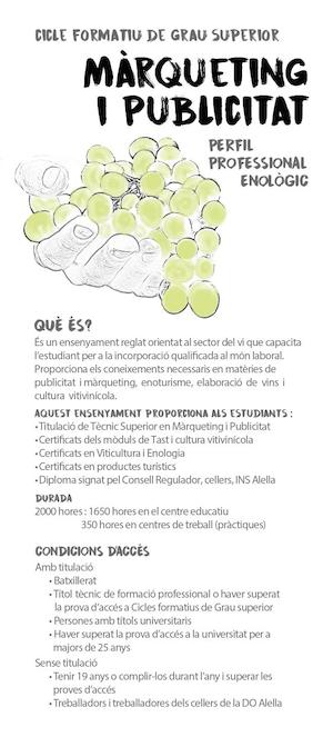 Cicle formatiu de grau superior