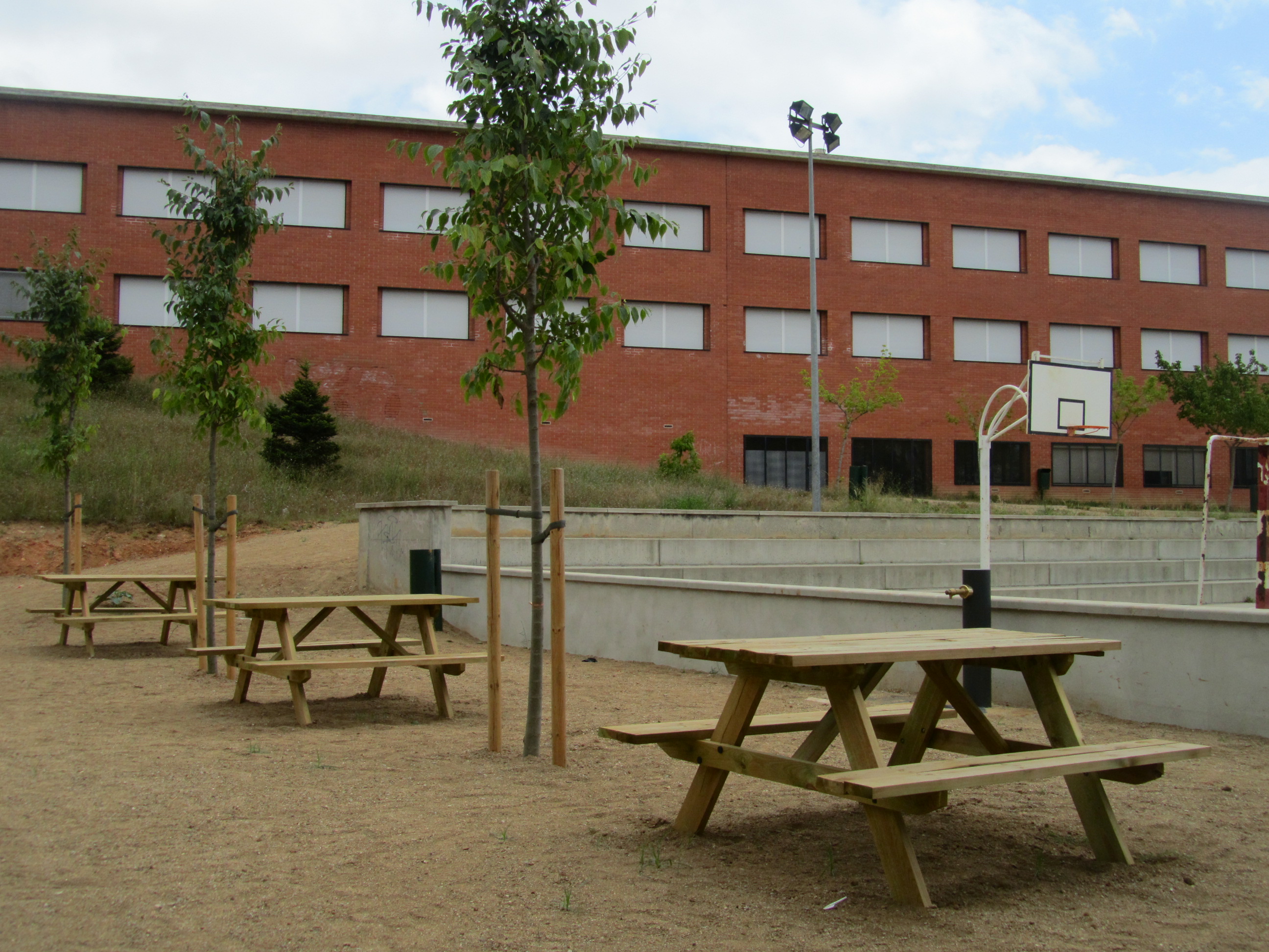 Institut