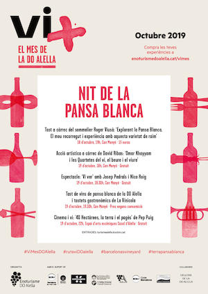 Nit de la pansa blanca