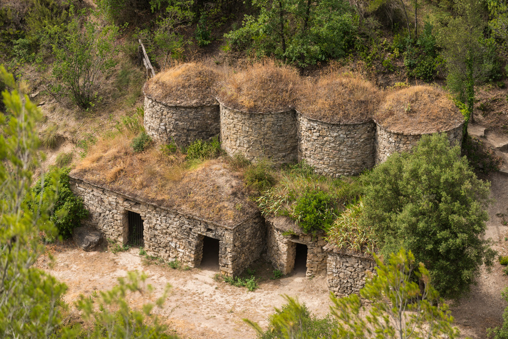 bAGES