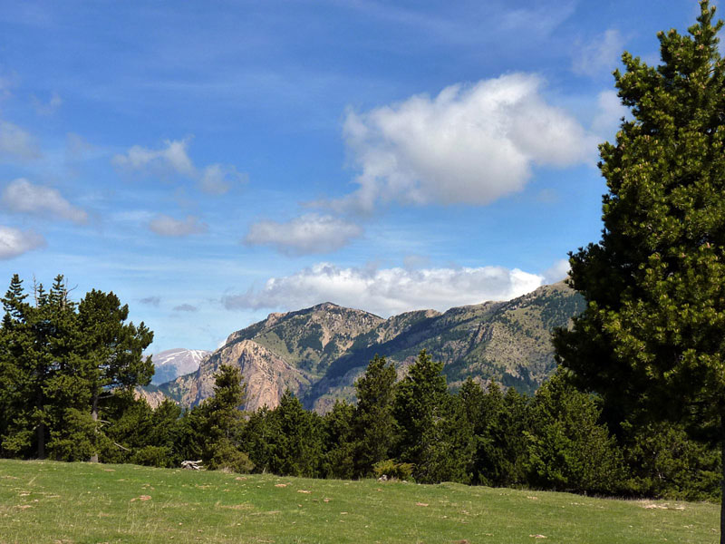 RasosPeguera