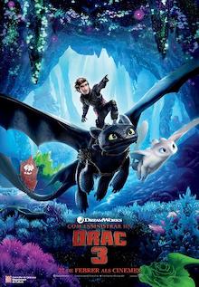 Com ensinistrar un drac 3