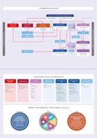 Infografia itineraris formatius