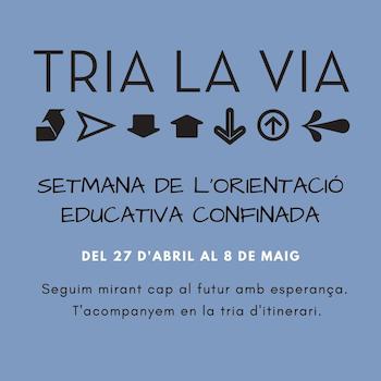 trialavia_data