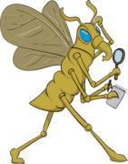 detectiu